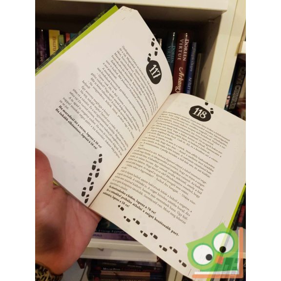 Nagy Ádám - Trencsényi László - Veszprémi Attila: A Pál utcai küldetés (lapozgatós könyv)