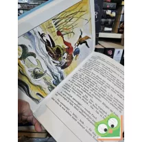 Újkéry Csaba: Pamfi (ritka)
