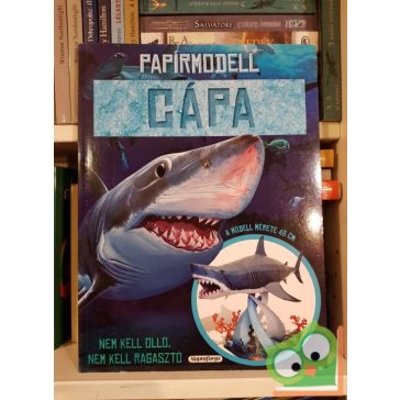 Papírmodell - Cápa