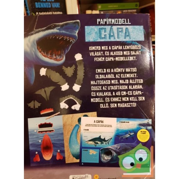 Papírmodell - Cápa