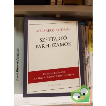 Mészáros András: Széttartó párhuzamok
