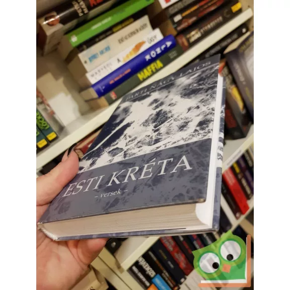 Parti Nagy Lajos: Esti kréta (ritka)