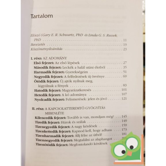 Eric Pearl: Kapcsolatteremtő gyógyítás