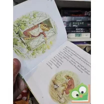 Beatrix Potter: Pecás Jeremiás kalandjai (Nyúl Péter)