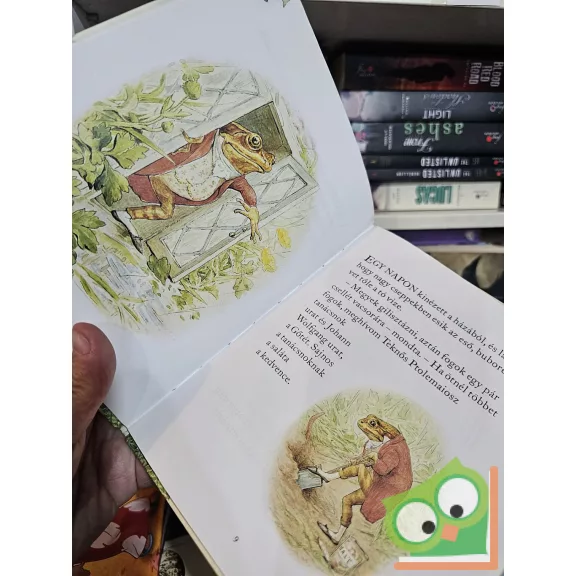 Beatrix Potter: Pecás Jeremiás kalandjai (Nyúl Péter)