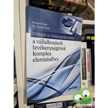   Kresalek Péter, Pucsek József: Példatár és feladatgyűjtemény a vállalkozások tevékenységének komplex elemzéséhez (PR-659-P/16)