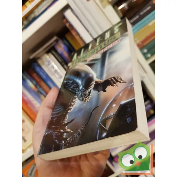 Stephani Perry: Labirintus (Aliens 7.)