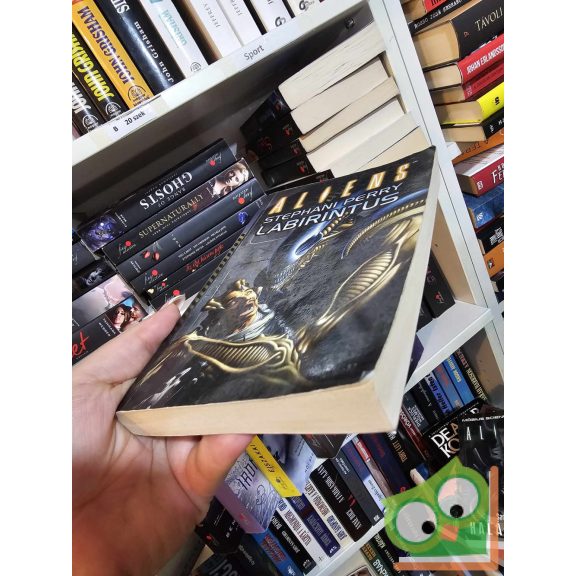 Stephani Perry: Labirintus (Aliens 7.)
