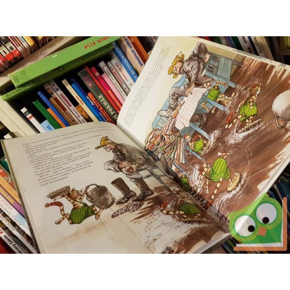 Sven Nordqvist: Pettson karácsonya (Pettson és Findusz)