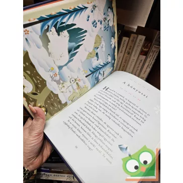   Kate Petty - Joyce Dunbar - Lousia Sommerville: A csodalámpa