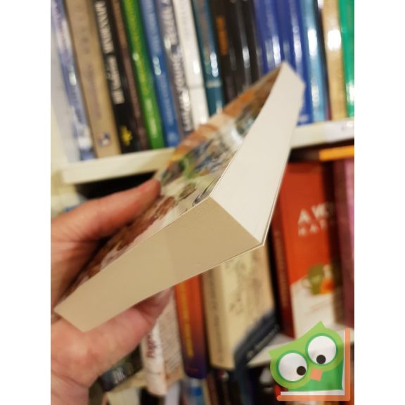 Terry Pratchett: Piramisok (Korongvilág 7.) (Ősi civilizációk 1.) ritka