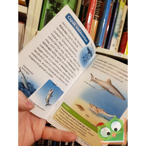 18 darabos PIXI ismeretterjesztő füzet