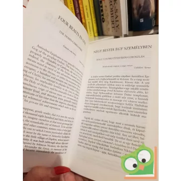 Edgar Allan Poe: Különös történetek / Curious Stories