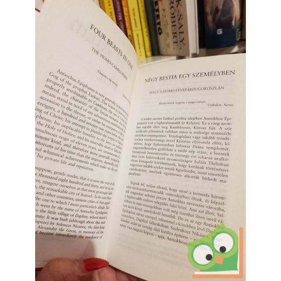 Edgar Allan Poe: Különös történetek / Curious Stories