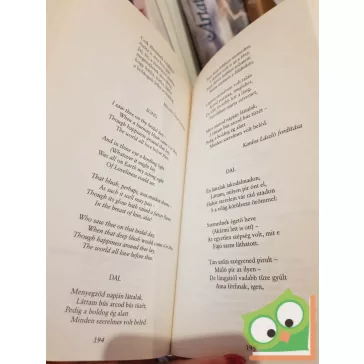   Edgar Allan Poe: Edgar Allan Poe összes versei / The Complete Poems (ritka)