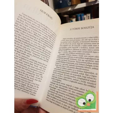 Edgar Allan Poe: Rejtelmes történetek / Mystery stories