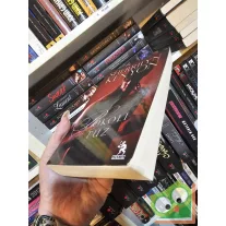   Sherrilyn Kenyon: Pokoli tűz (Sötét Vadászok / Sötét Vágyak Vadásza 6.) (ritka)