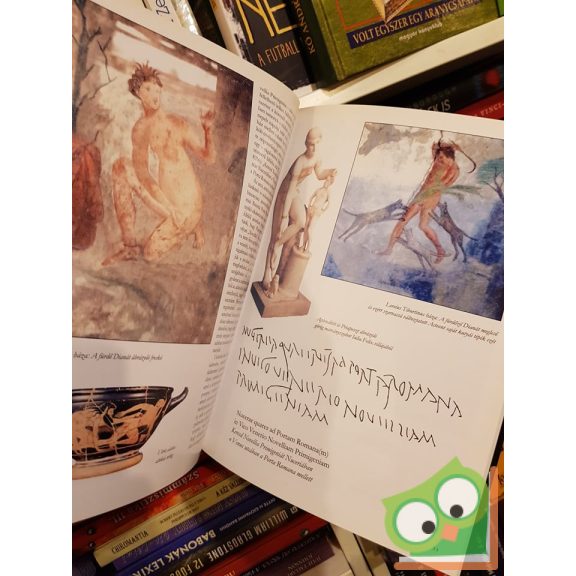 Francesco Paolo Maulucci Vivolo: Pompeji erotikus falfirkák