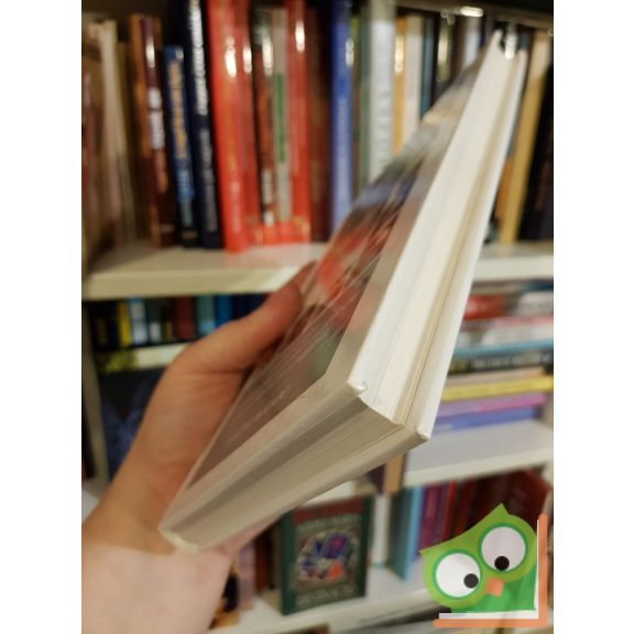 Luca Melegati: A porcelán (Műkincshatározó)