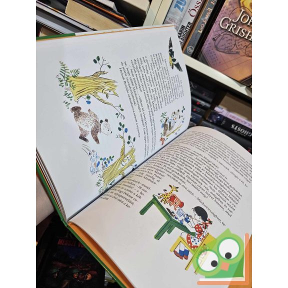 Szepes Mária: Pöttyös Panni az óvodában (Pöttyös Panni 3.) (ritka)