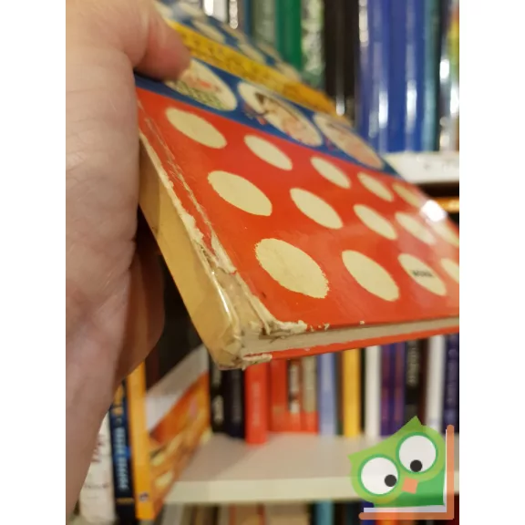 Szepes Mária: Pöttyös Panni Hetedhétországban (Pöttyös Panni 6.)