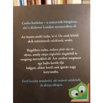 Terry Pratchett: Cseles