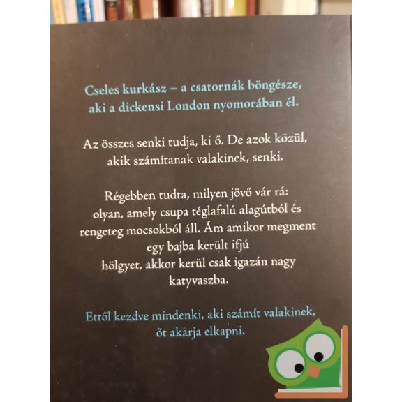 Terry Pratchett: Cseles