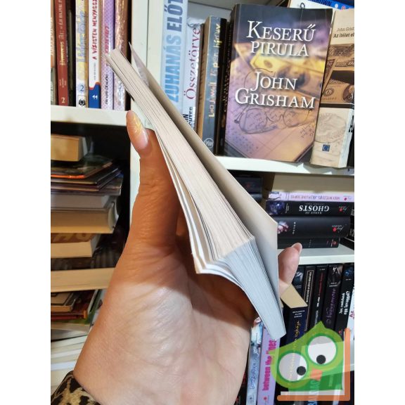 Puskás Ferenc: Az Aranycsapat kapitánya