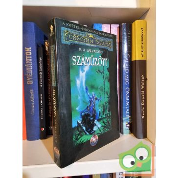   R. A. Salvatore: Száműzött (Sötételf 2.) (Drizzt legendája 2.) (Forgotten Realms)