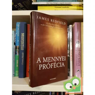 James Redfield: A mennyei prófécia (Mennyei prófécia 1.)
