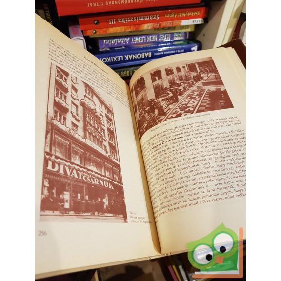 Szilágyi István: Régi boltok krónikája