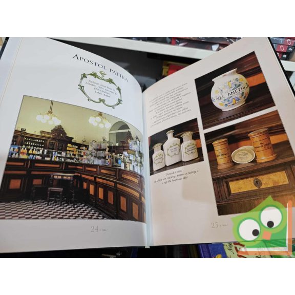 Gáspár Zsuzsa: Régi magyar patikák