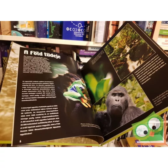Bakó Krisztián: Rejtelmes esőerdők