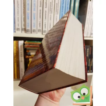   Rejtő Jenő (P. Howard): Rejtő Jenő összegyűjtött művei 3.  Vadnyugati és egyéb történetek