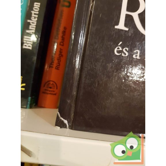 Wilhelm Von Bode: Rembrandt és a XVII. századi holland mesterek