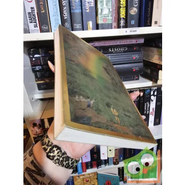 Thondup Tulku Rinpocse: A tudat gyógyító ereje (ritka)