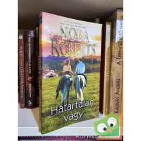 Nora Roberts: Határtalan vágy