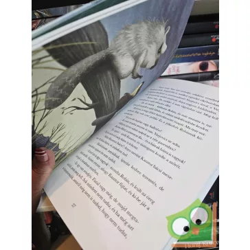   Turczi István: Robin, a szerencse fia (Robin Hód kalandjai 1.)