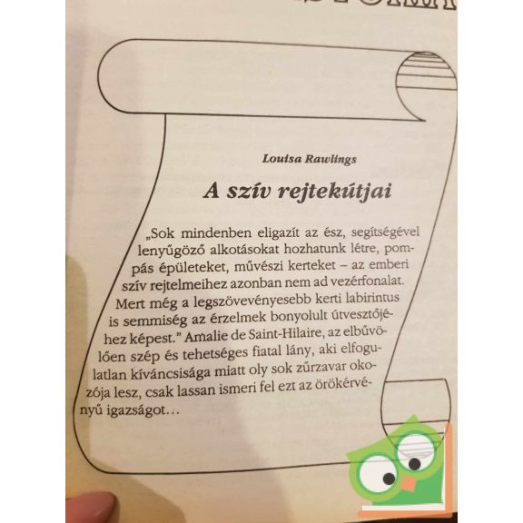 Louisa Rawlings: A szív rejtekútjai (Romana Széphistória 1994/5)