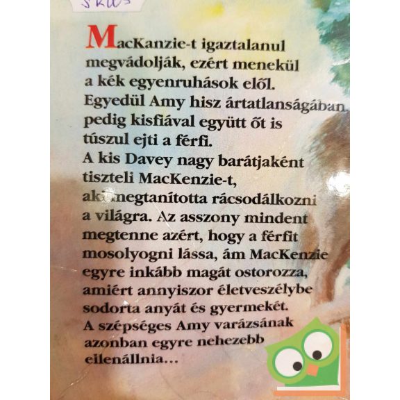 Patricia Potter: Indián vér (Romana Széphistória 1994/6)