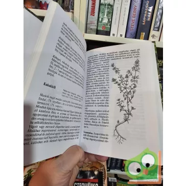 Romváry Vilmos: Fűszerek könyve