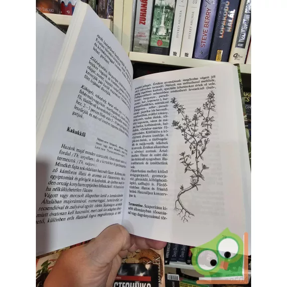 Romváry Vilmos: Fűszerek könyve