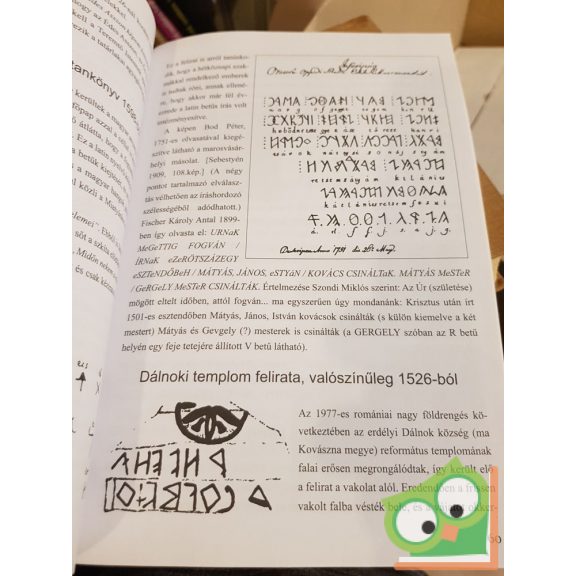 Szondi Miklós: Róni tanulok