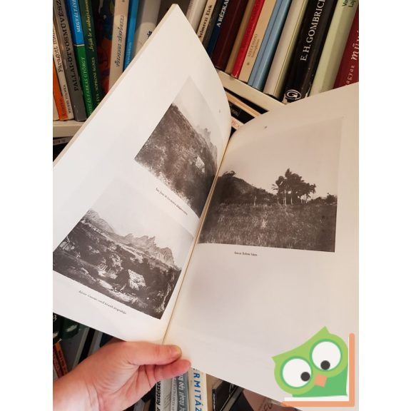 Rosti Pál 1830-1874