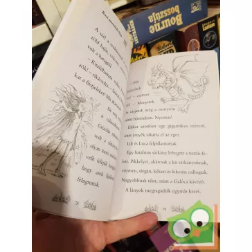   Daisy Meadows: Rozi mentőakciója (Varázslatos Állatbirodalom 8.)