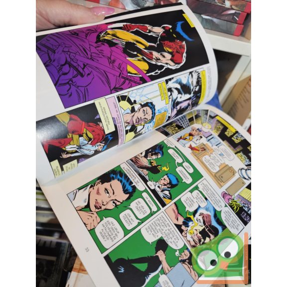 Chris Claremont,  Frank Miller: Rozsomák: Adósság és becsület