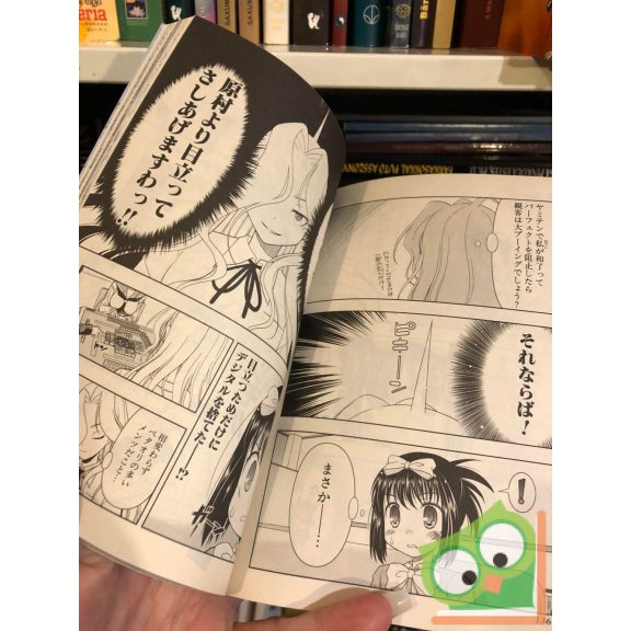 Kobajasi Ricu: Saki Vol. 4. (japán nyelvű manga)