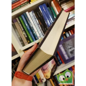 J. R. dos Santos: Salamon kulcsa (Tomás Noronha 7.)