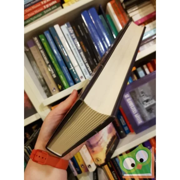 J. R. dos Santos: Salamon kulcsa (Tomás Noronha 7.)