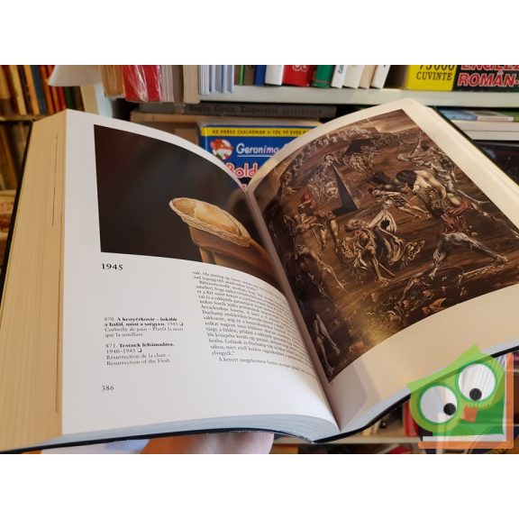 Robert Descharnes: Salvador Dalí 1904 - 1989 a festői életmű (Nagyon ritka)